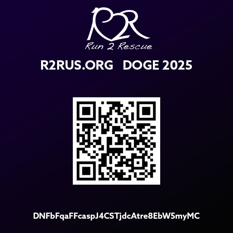 Donate Crypto to Nonprofit Dogecoin DOGE QR Code