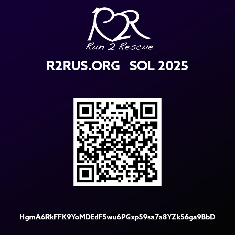 Give Digital Asset to Nonprofit Solana SOL QR Code