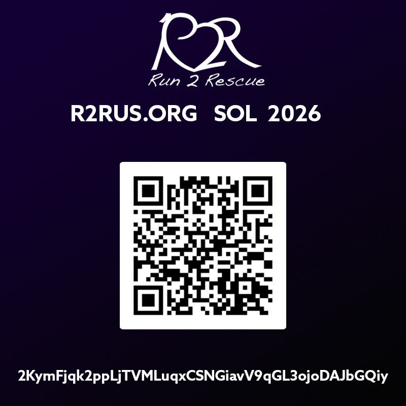 Give Digital Asset to Nonprofit Solana SOL QR Code