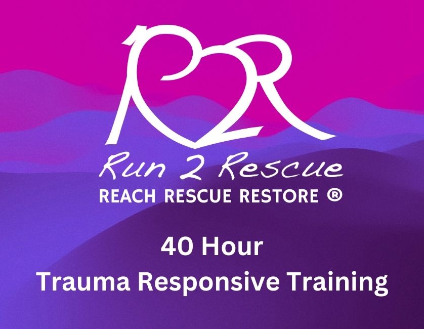 Trauma Informed Training